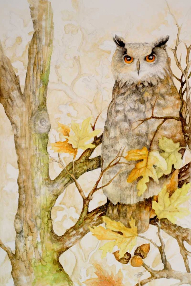 Mystic Woodland II