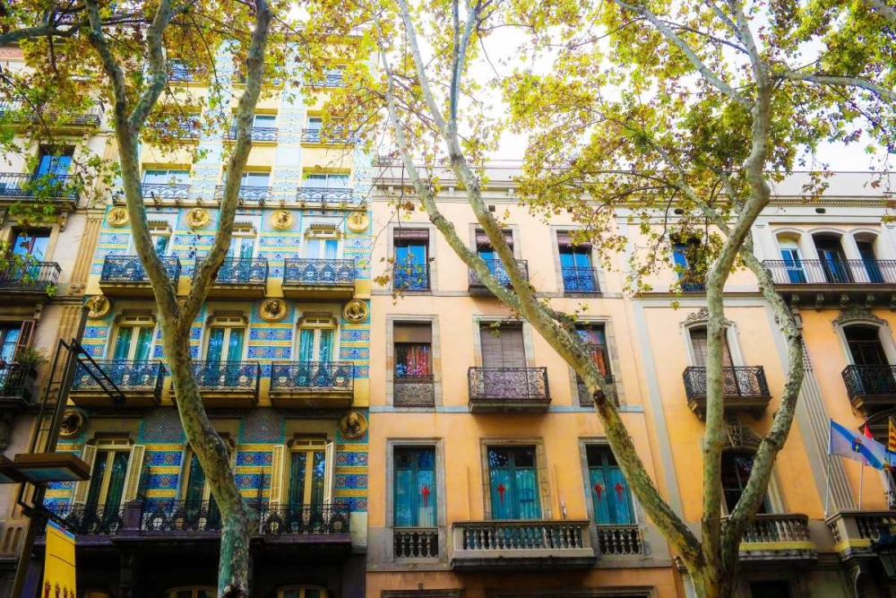 Dream Street
