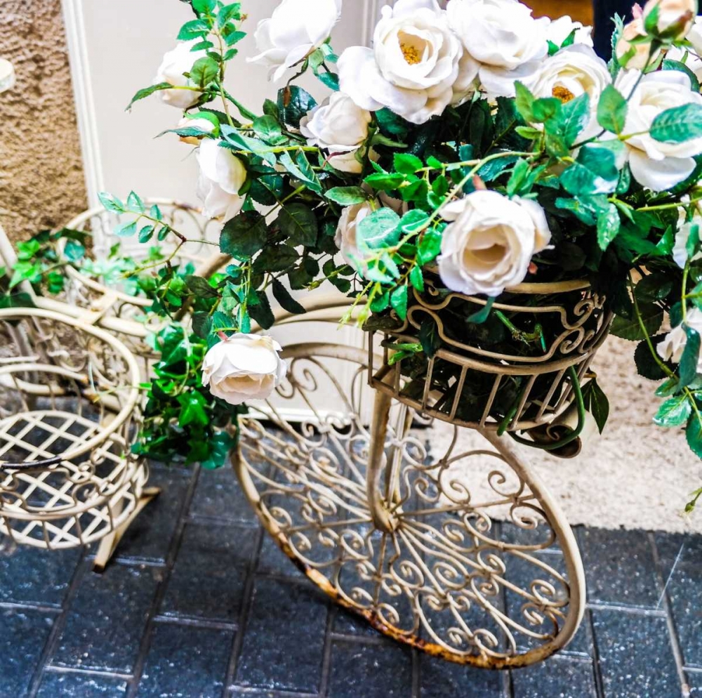 Flower Bike Square