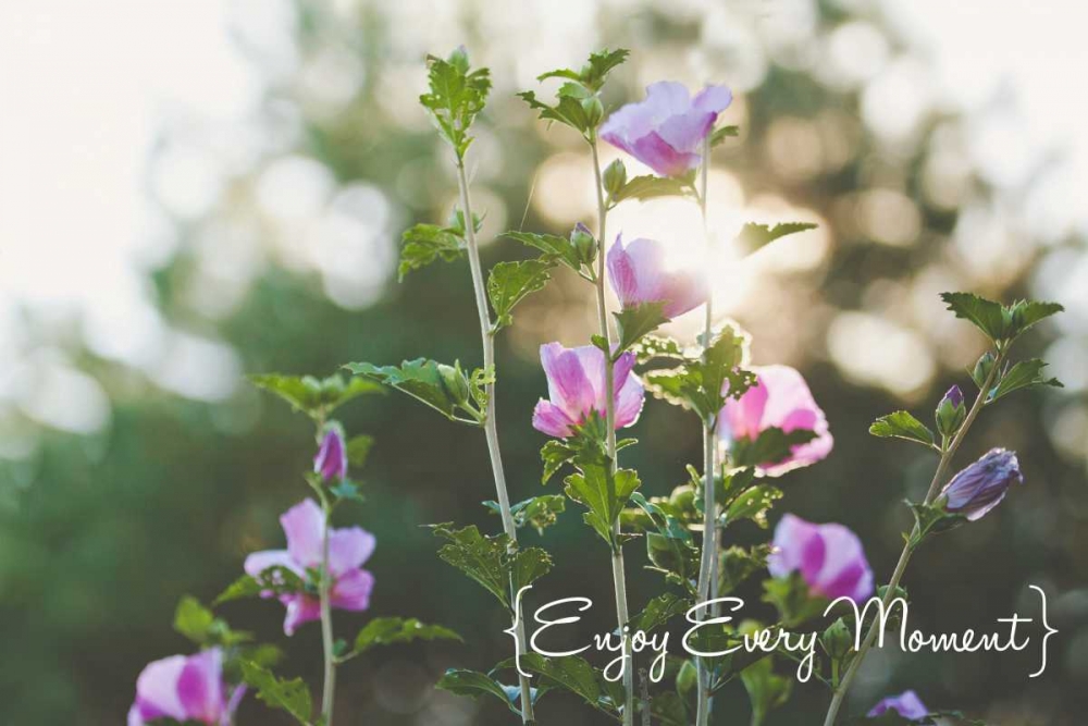 Enjoy Every Moment