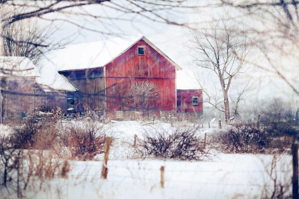 Winter Barn
