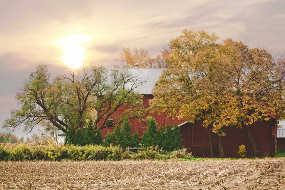 My Red Barn