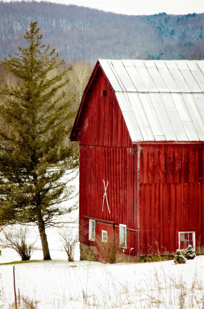 Red Barn House