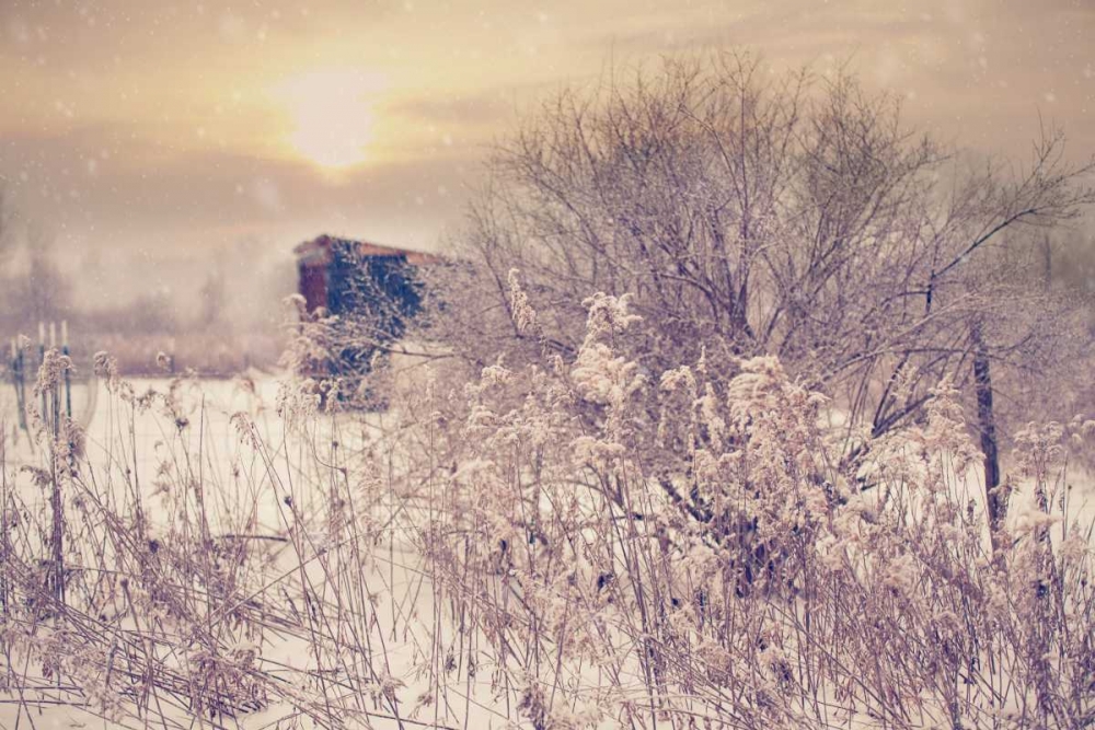 Winter Sunset