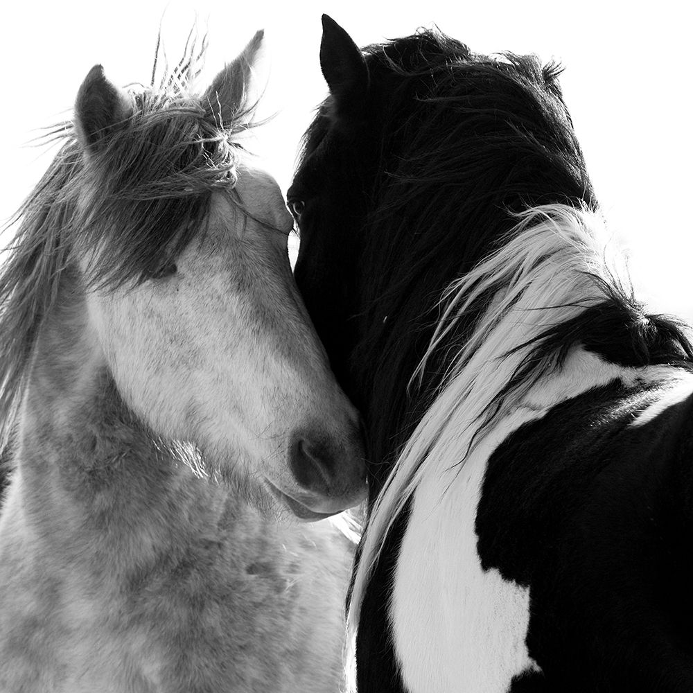 Loved Ones