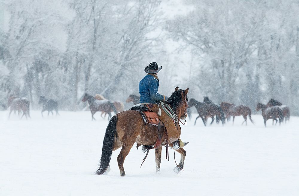 Wrangler In The Snow