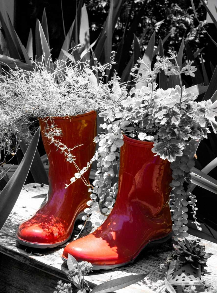 Rain Boots Border
