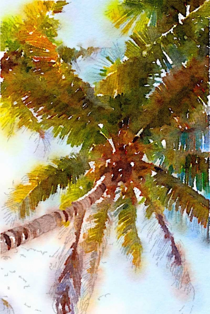 Watercolor Palms II