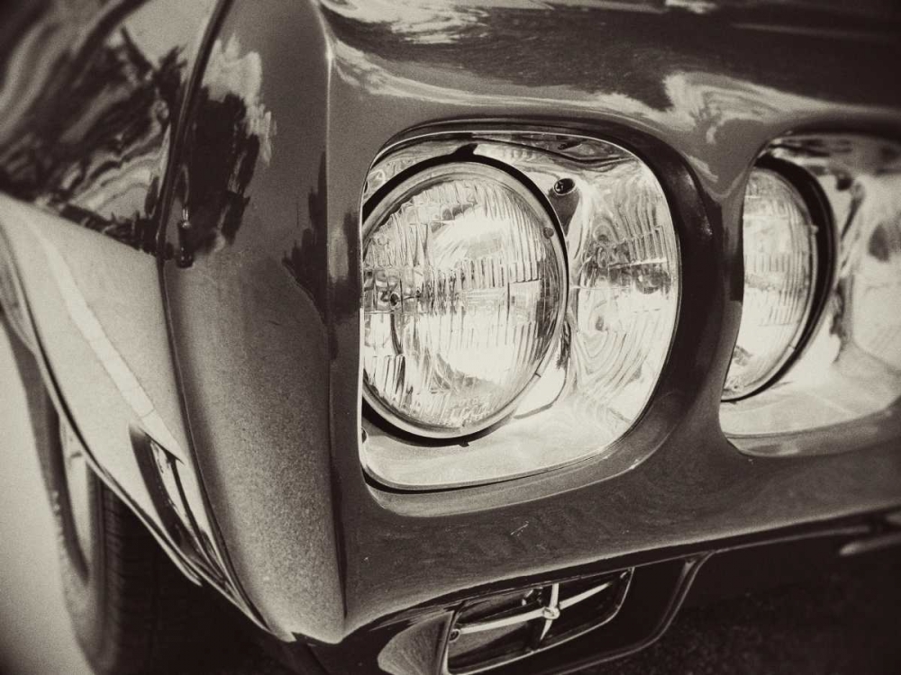 Night Rider I