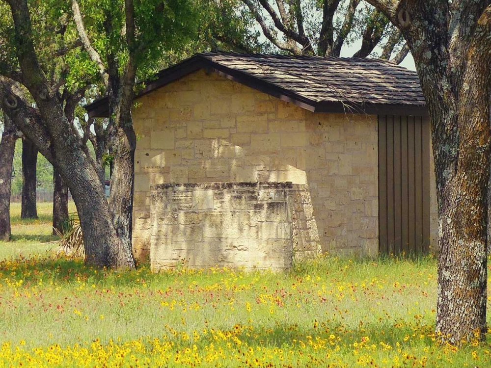 Country Meadow I