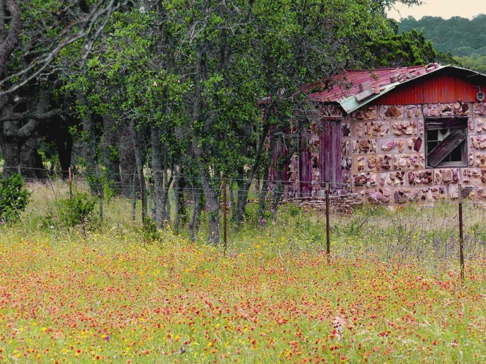 Country Meadow II