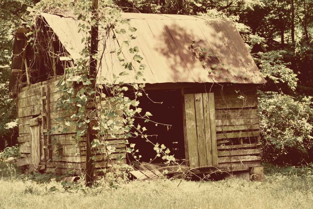 Homestead