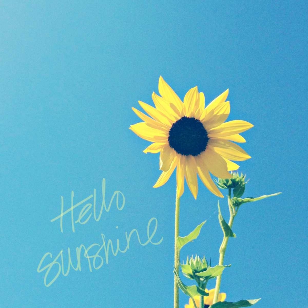Hello Sunshine