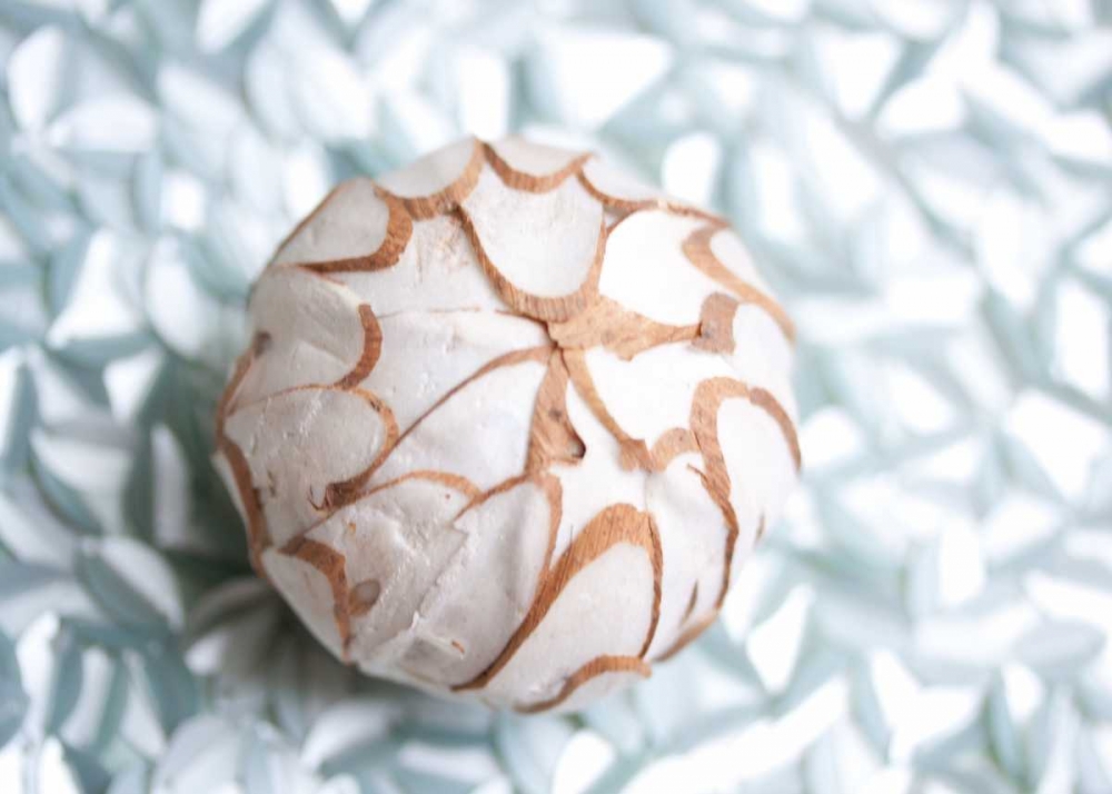 Shimmer Shells I