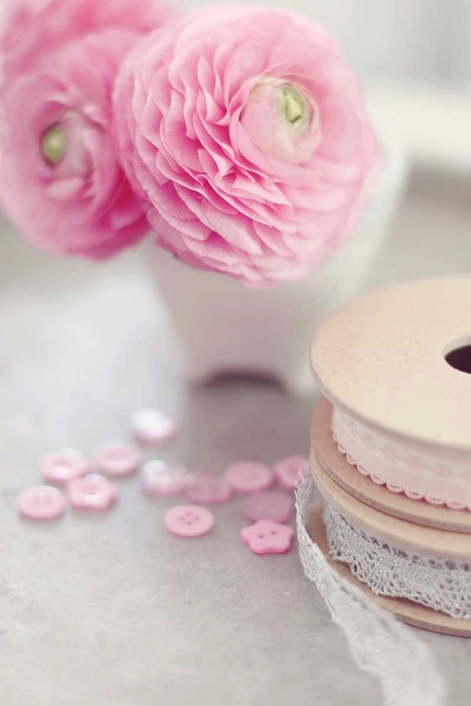 Softy Elegant I