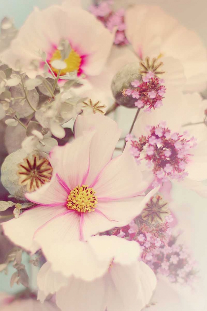 Pink Blossoms II