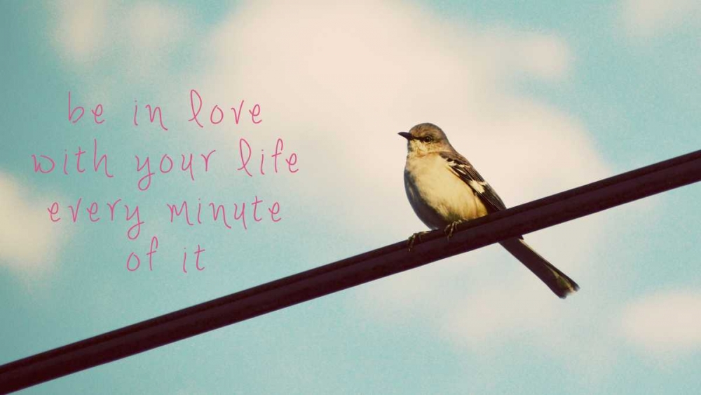 Your Life
