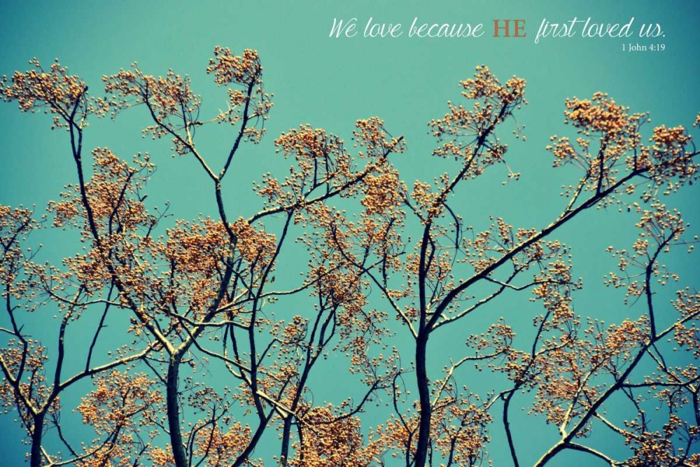 We Love