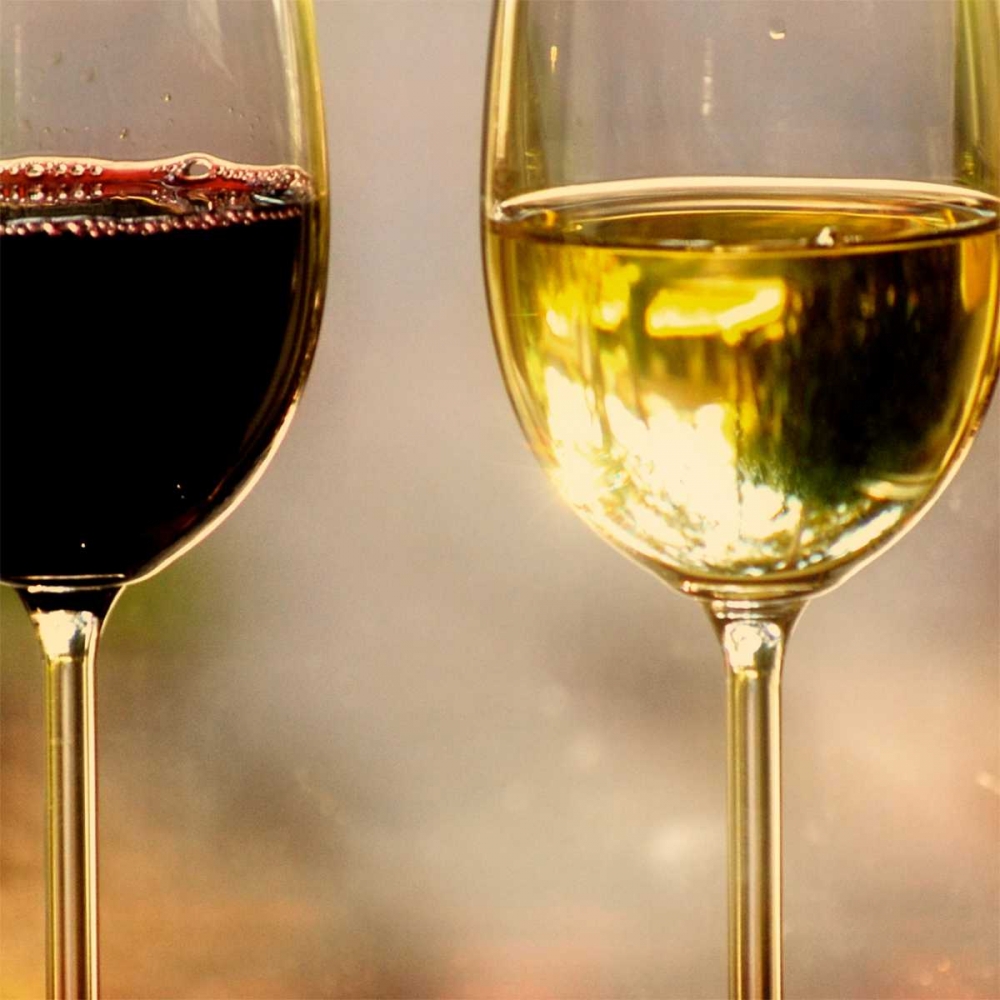 Wine Glasses in the Light