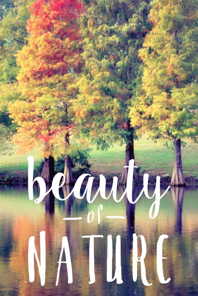 Beauty Of Nature