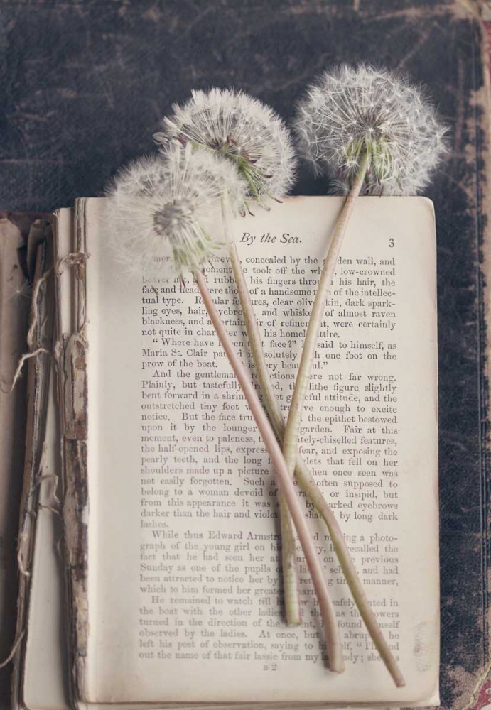By The Sea (Book)