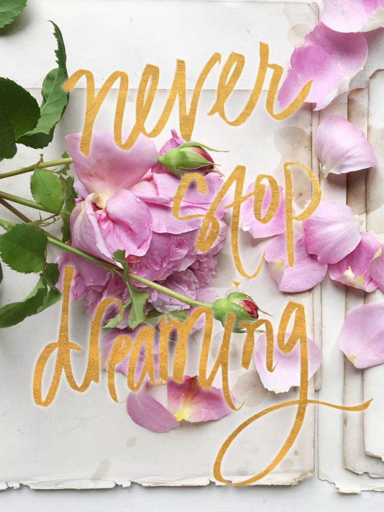 Never Stop Dreaming