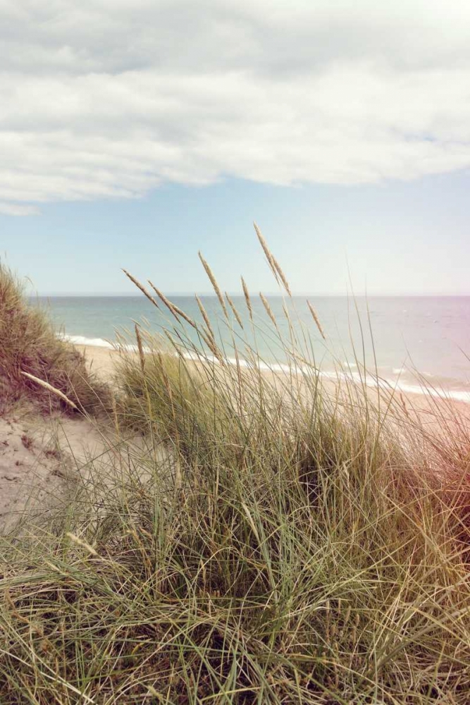 Beach Memories