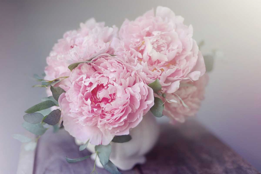 Bouquet of Blooms