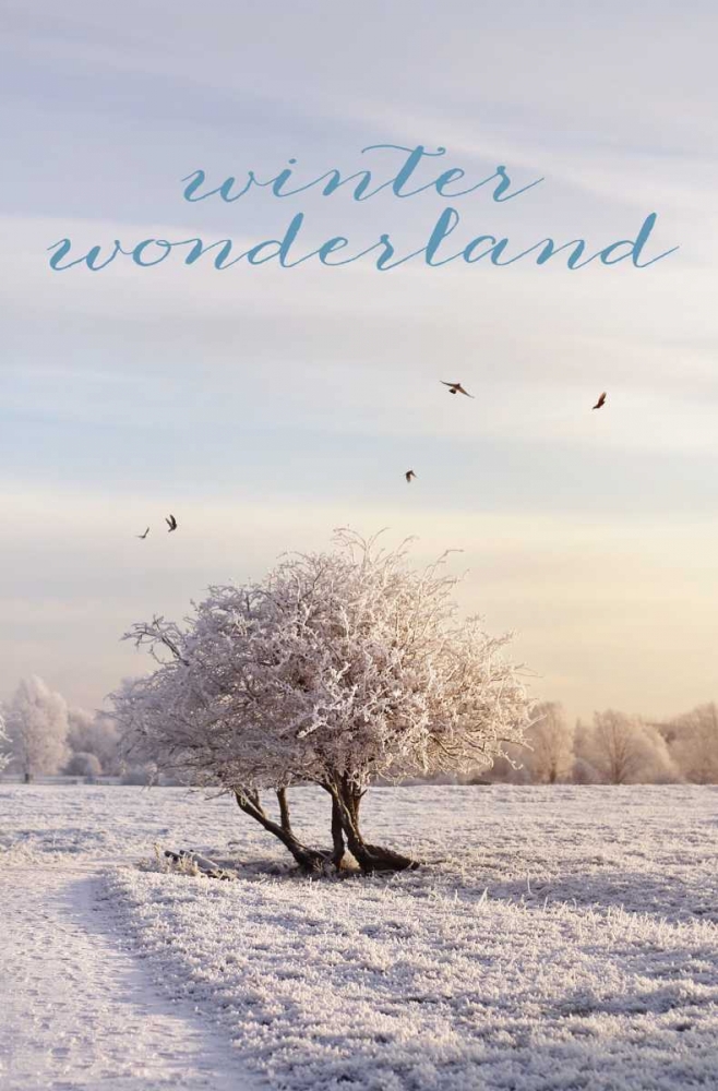 Winter Wonderland
