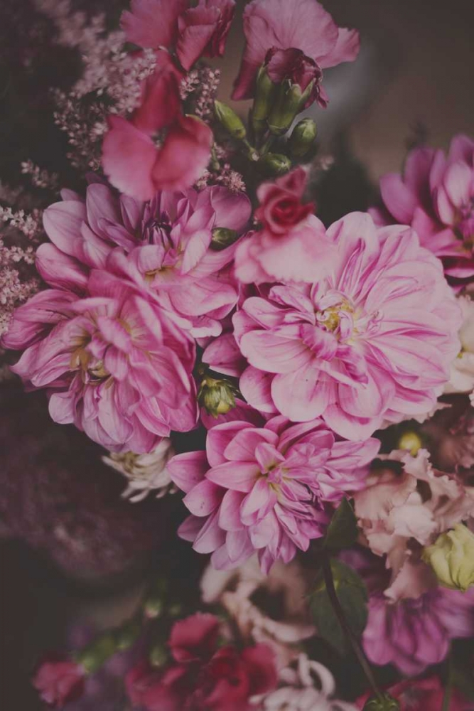 Dark Floral