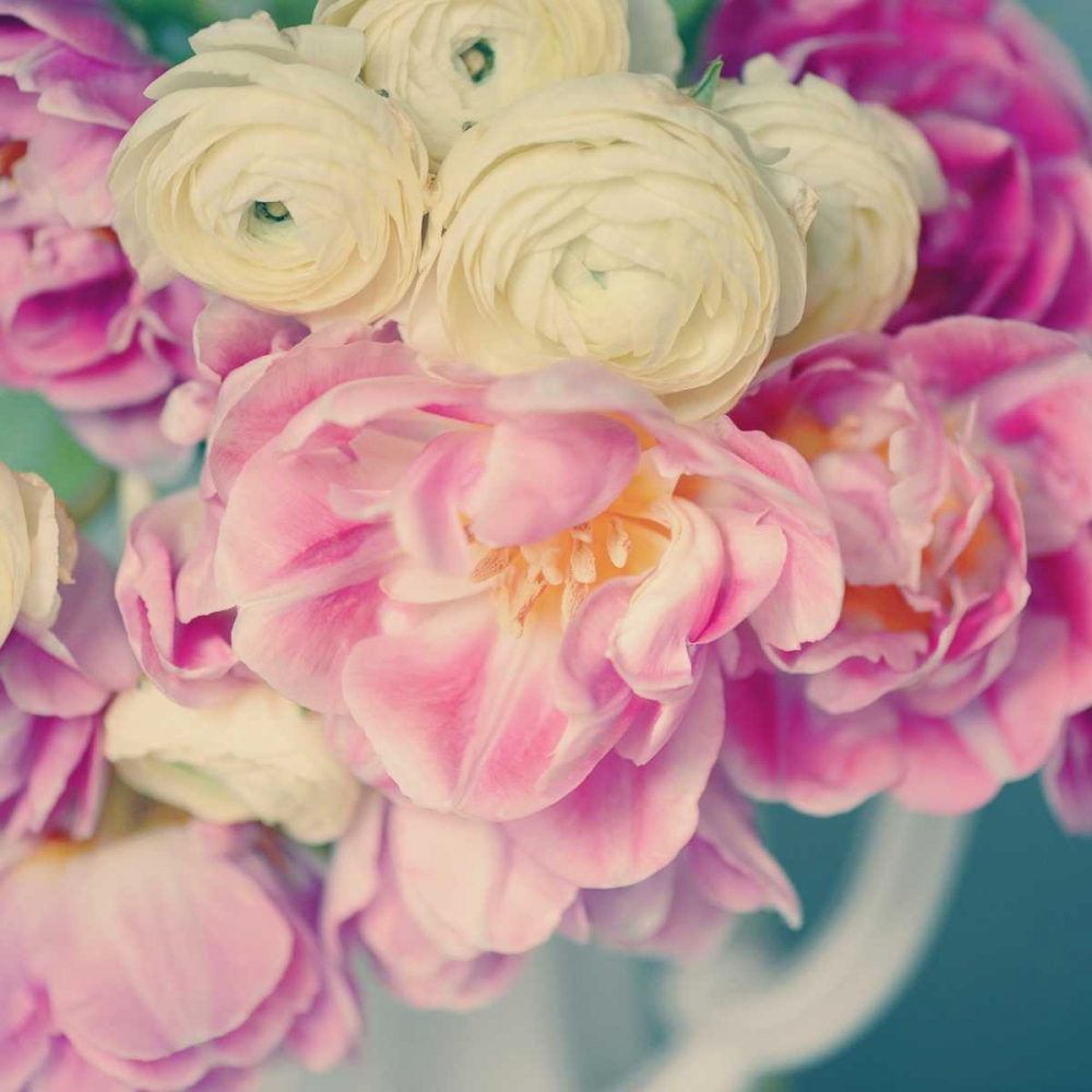 Blushing Blooms II