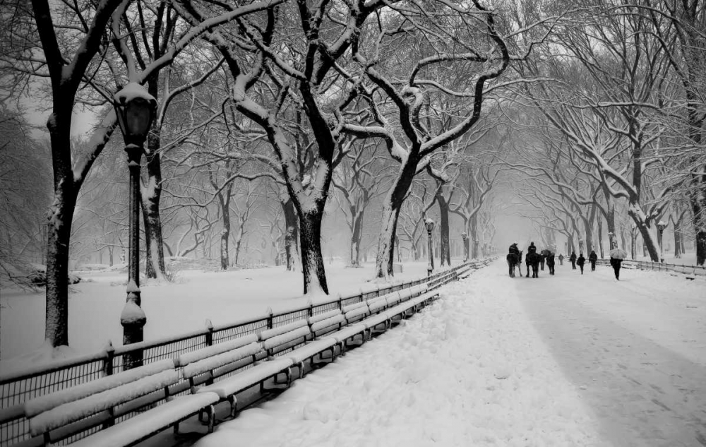 Central Park Snow