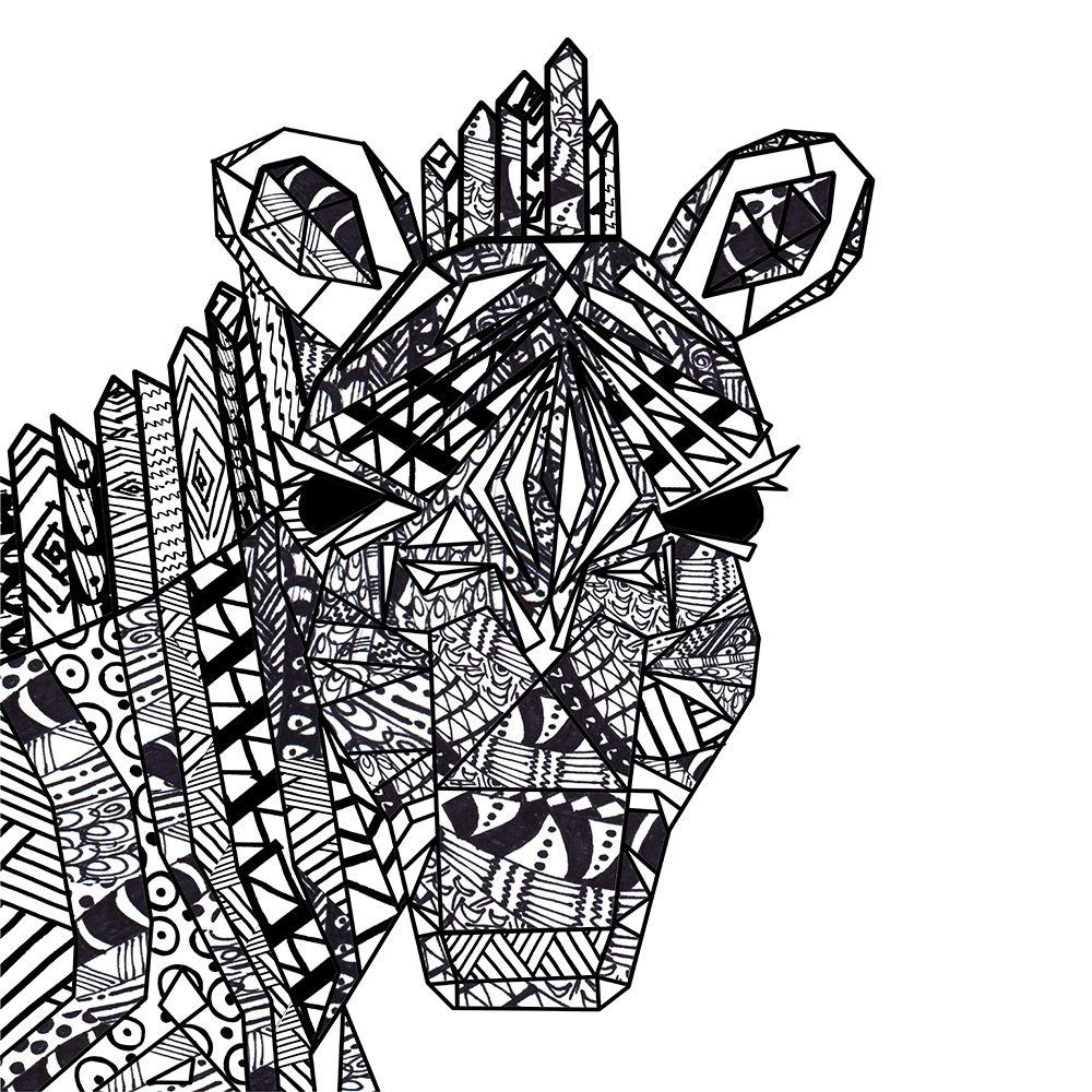 Coloring Book Zebra