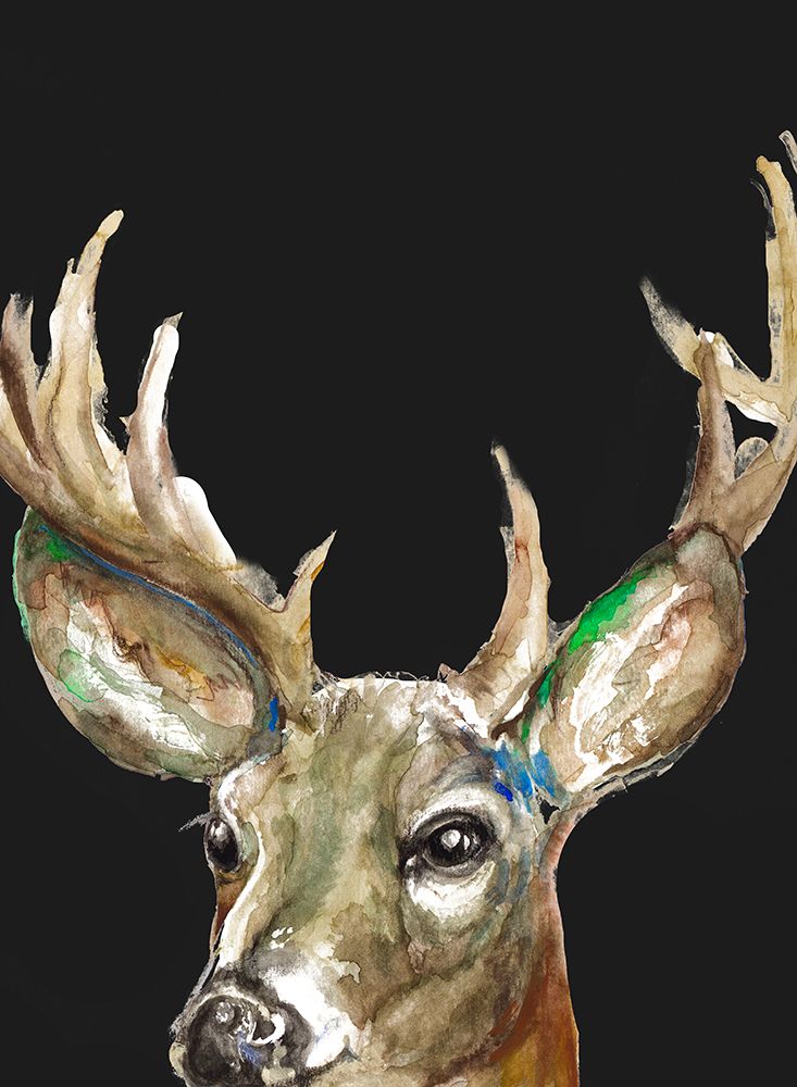 Deer On Black