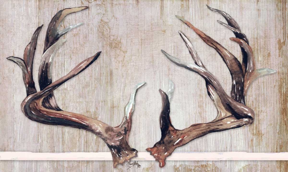 Trophy Antlers