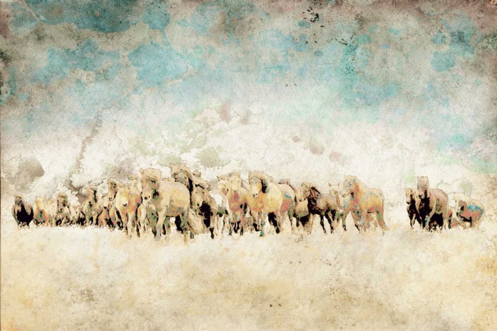 Roaming Horses
