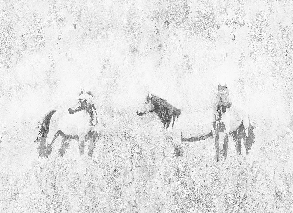 Horses In The Mist