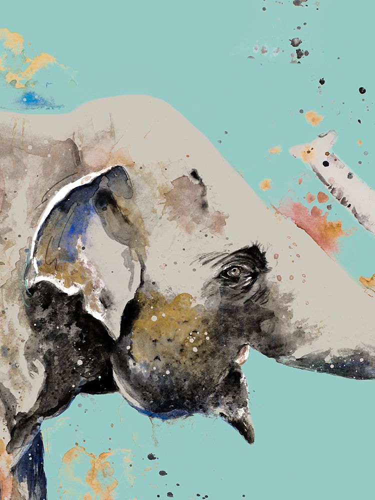 Elephant On Teal