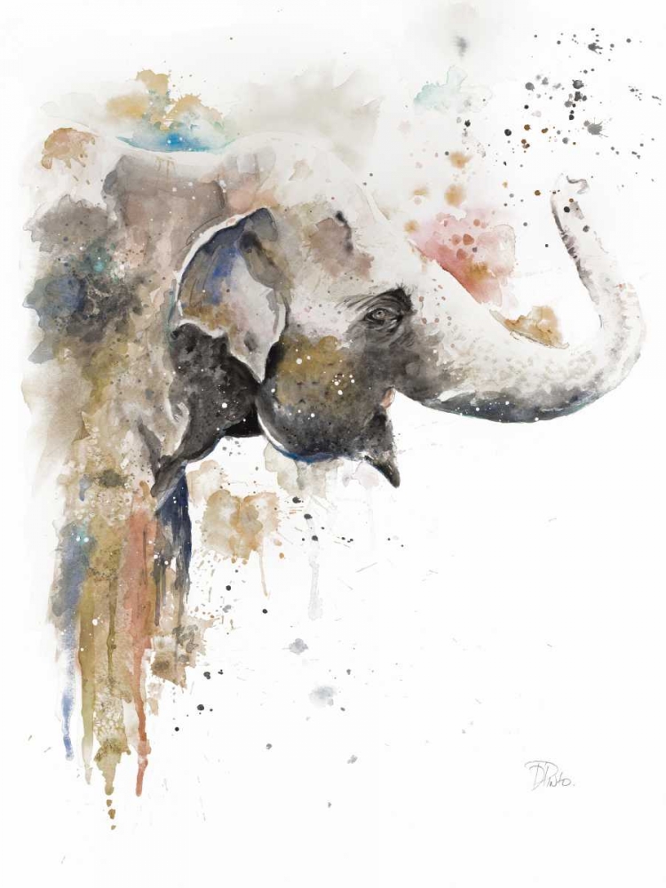 Water Elephant