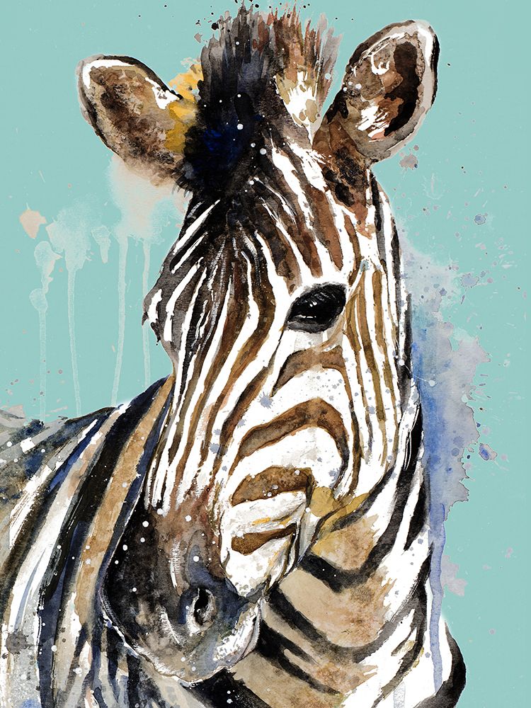 Zebra On Teal