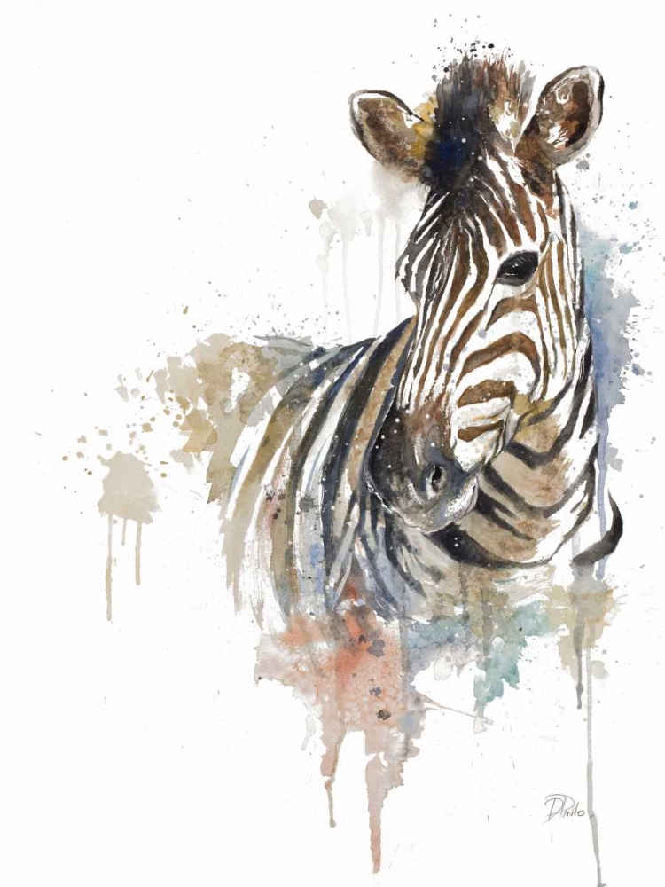 Water Zebra