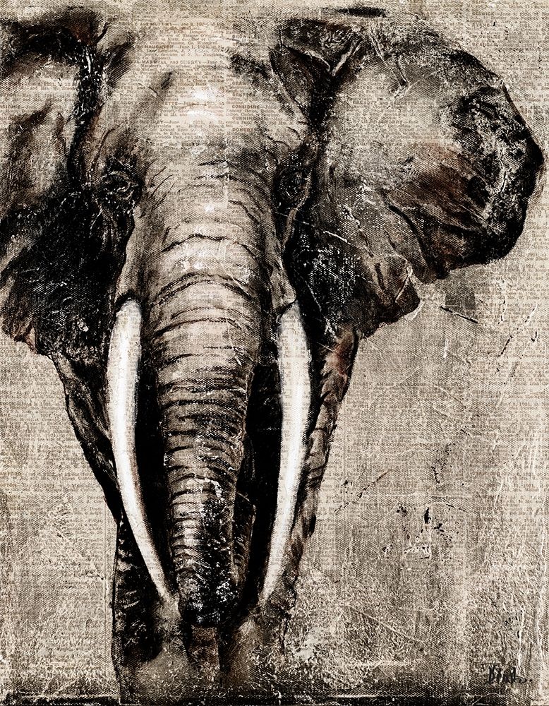 Elephant on Newspaper