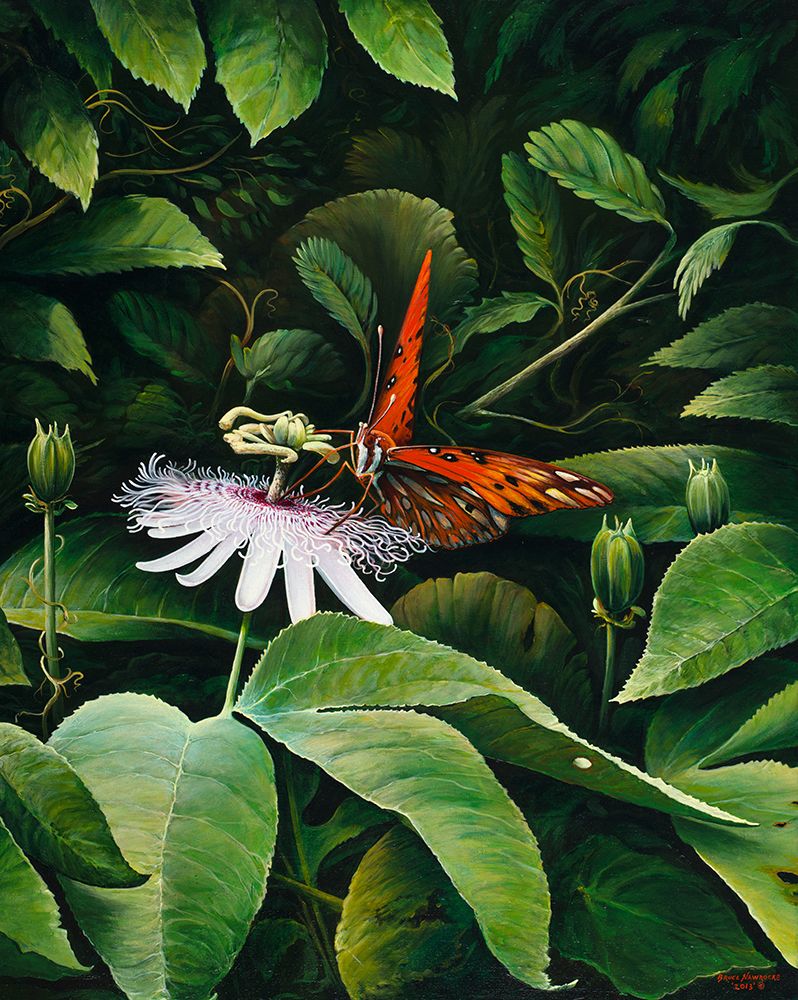 Snacking Butterfly