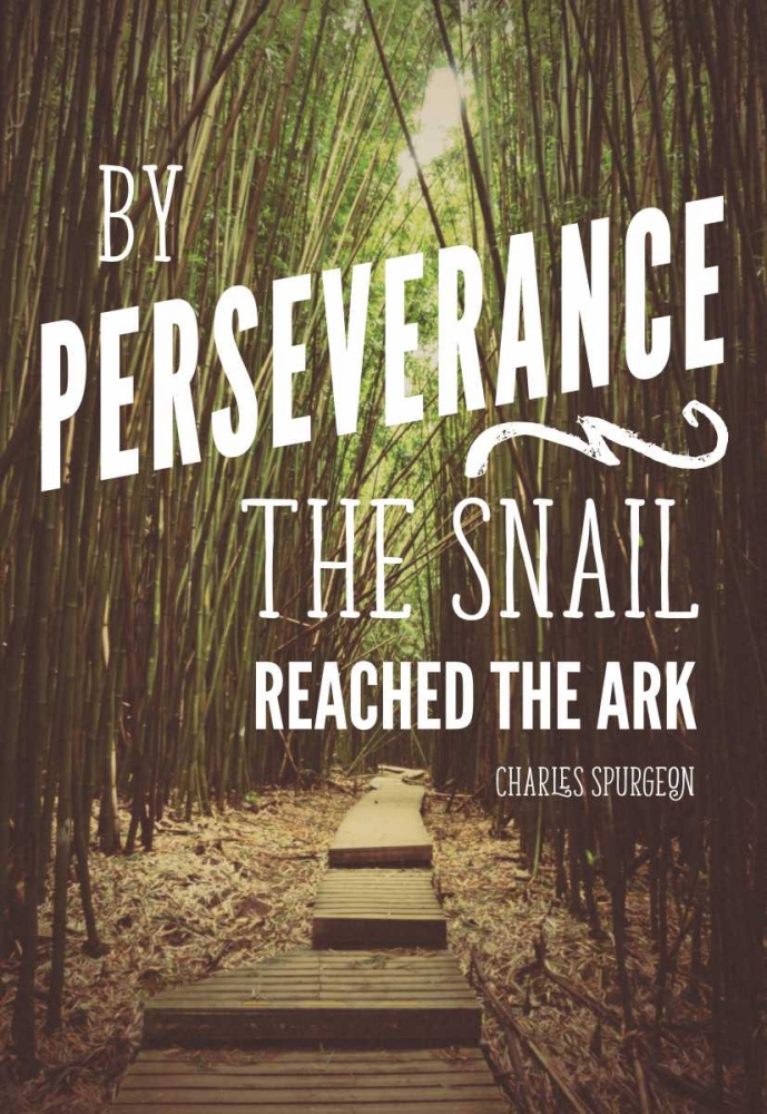 Perseverance