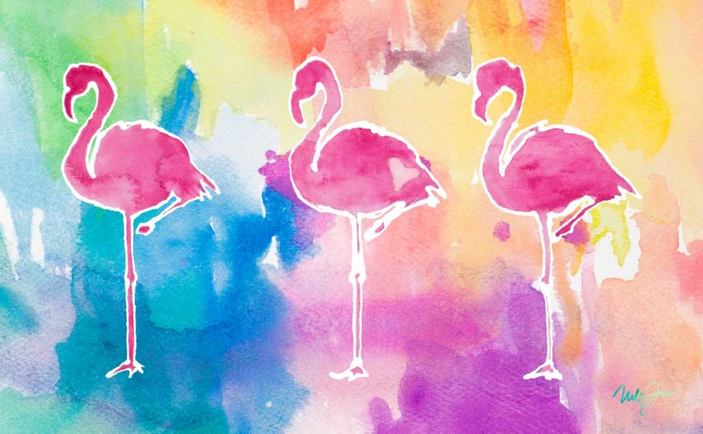 Sunset Flamingo Color Flow