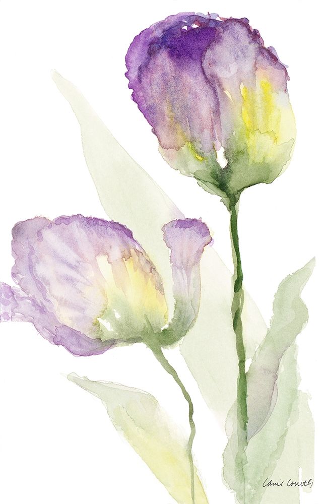 Teal and Lavender Tulips II