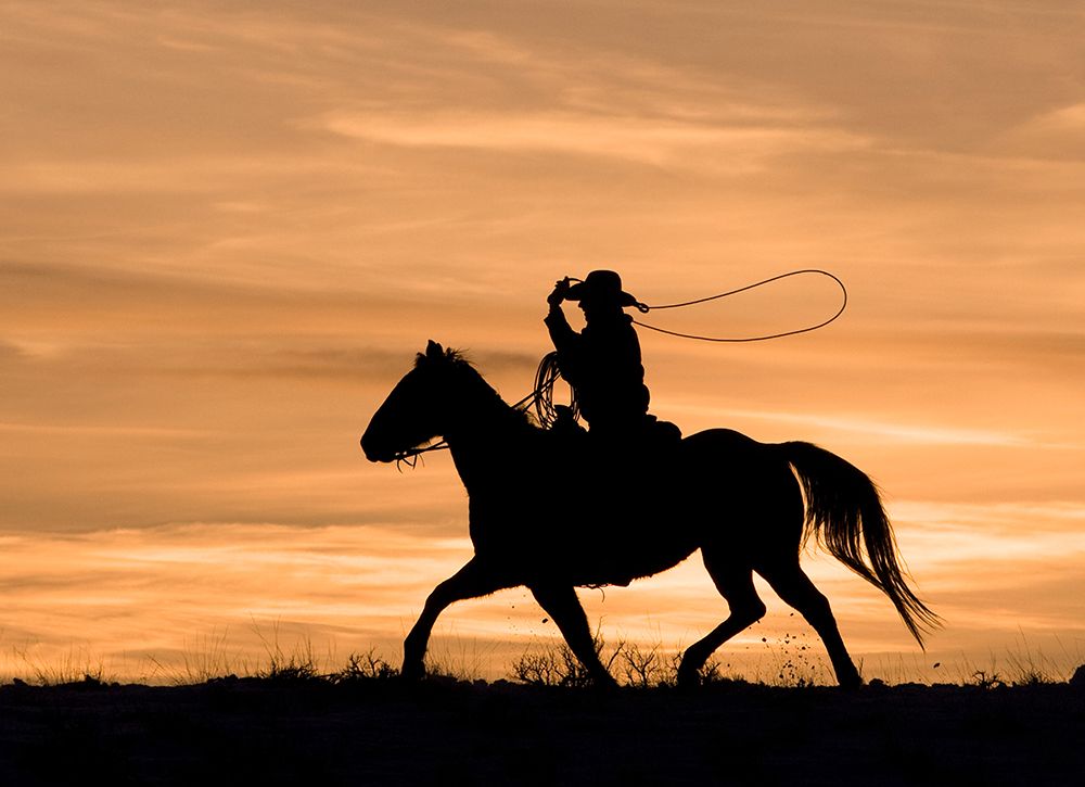 Run Through The Sunset