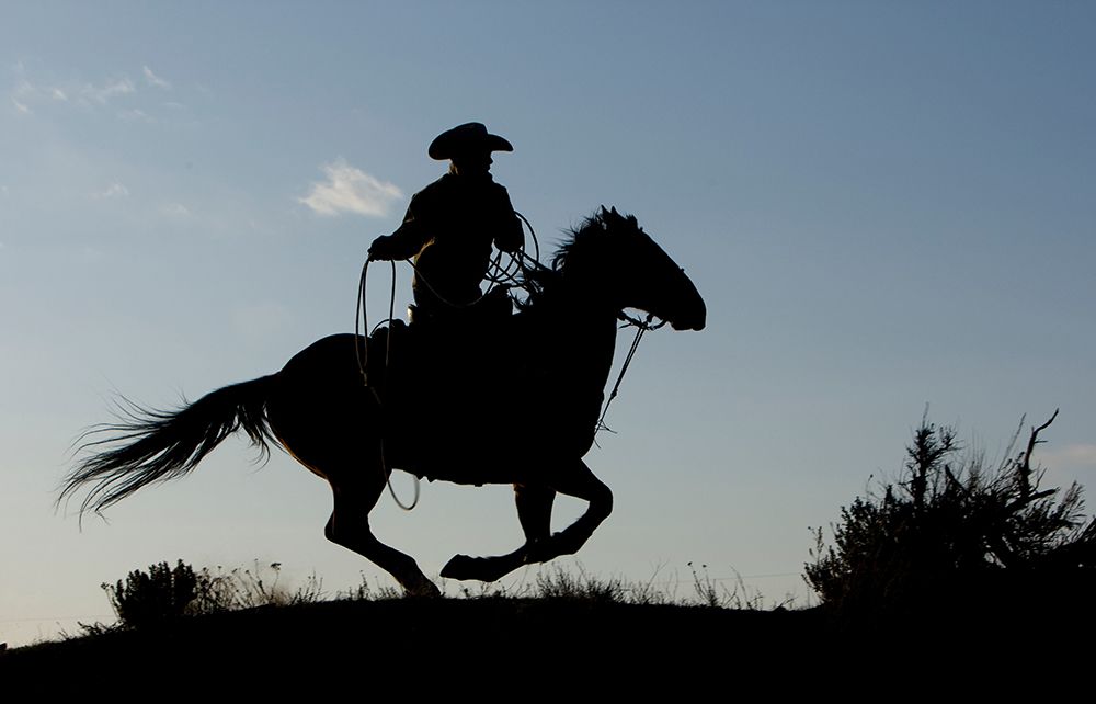 Gallop Along