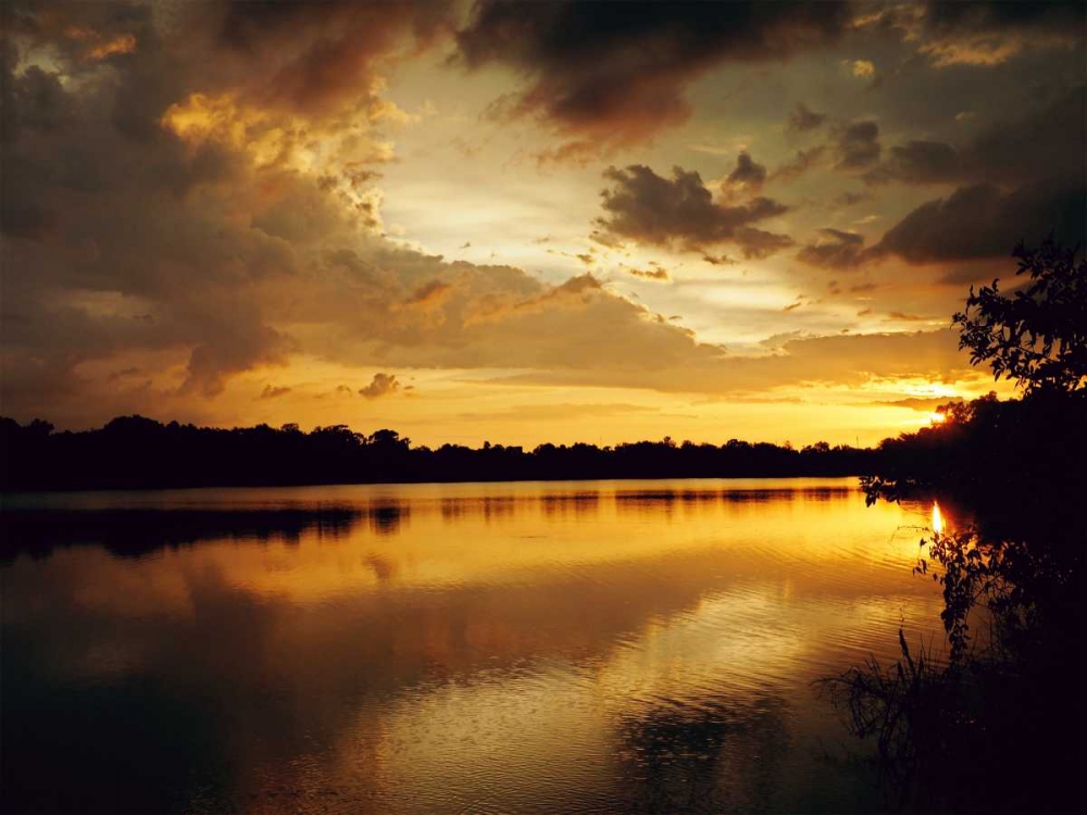 Yellow Sunset