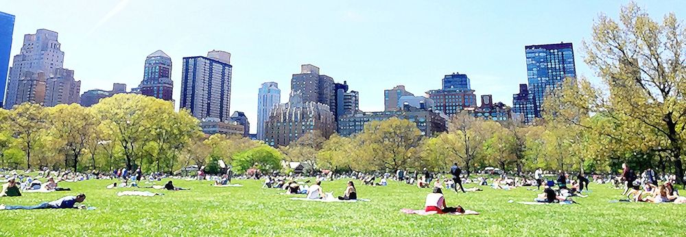 Central Park Picnic